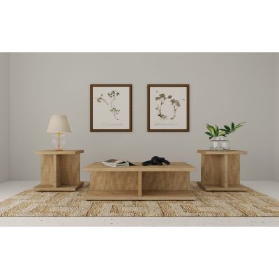 Cortona 3-piece Coffee and End Table Set Mango