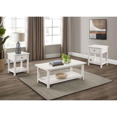 Payne 3-piece Coffee and 1-drawer End Table Set White